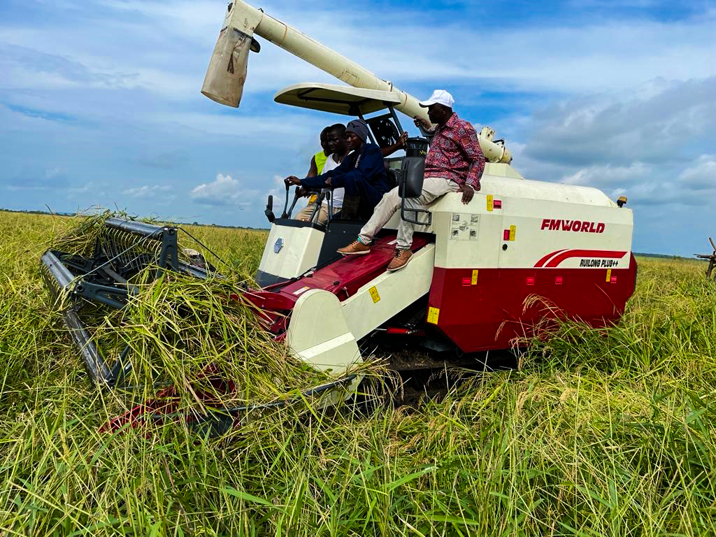 Mechanized rice harvesting in Sierra Leone