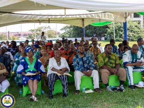 A cross section of Diasporans granted SL citizenship