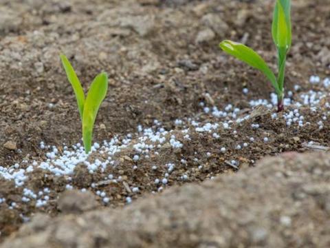 Slow Release fertilizer