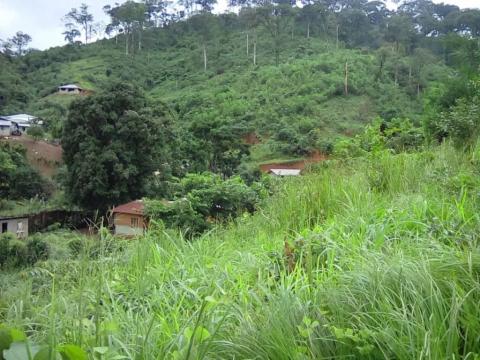 A view of Kamboi Forest